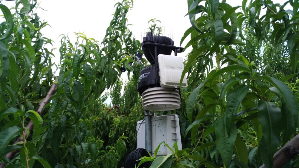 Progetto Figaro per la fertirrigazione razionale in orticoltura