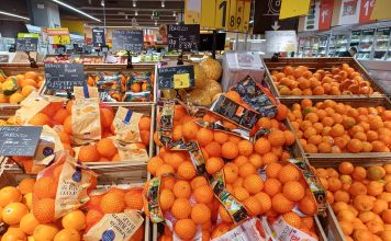 Piena campagna per le arance, con le Tarocco in primo piano