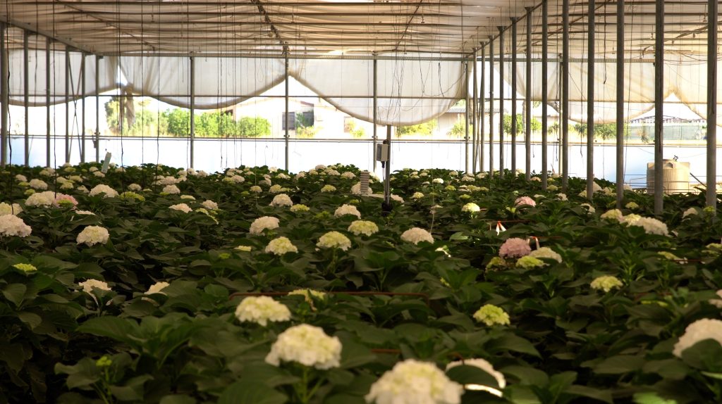 Daiki Modular Cloud Platform, una soluzione modulare per l’agricoltura di precisione che ha vinto il Premio Bragantini 2025