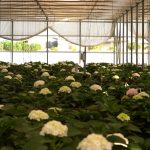 Con Daiki Maria Luisa Cinquerrui vince il Premio Danila Bragantini 2025 Daiki Modular Cloud Platform, una soluzione modulare per l’agricoltura di precisione che ha vinto il Premio Bragantini 2025