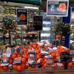 Airc: tornano nei supermercati le arance rosse per la ricerca