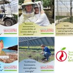 Premio Danila Bragantini 2025, nominati i cinque progetti finalisti I progetti candidati al premio Danila Bragantini 2025