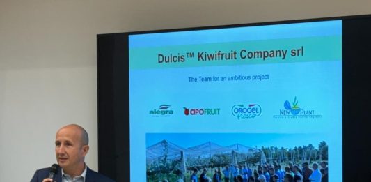 Mirco Montefiori, presidente di Dulcis Kiwifruit Company, società che riunisce New Plant, Alegra, Apofruit Italia e Orogel Fresco