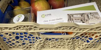 La cassetta Redea per l'ortofrutta di Cpr Systrem