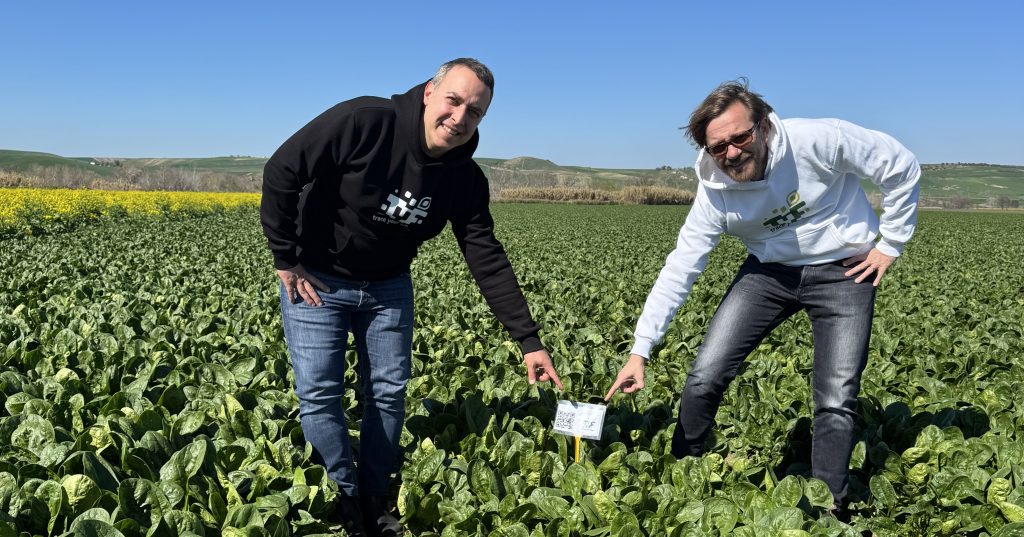 Riccardo Zagaria e Cosimo Lepore ideatori del software per l'agricoltura digitale Tyf