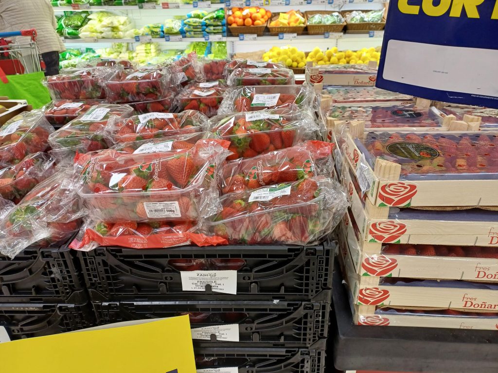 Ottima la qualità delle fragole di cui continua la campagna