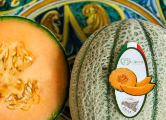 Già sul mercato il melone retato Barbera Melone retato di Sicilia Barbera