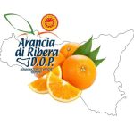 L'Arancia di Ribera Dop è una delle eccellenze ortofrutticole della Sicilia