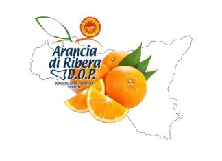 Crescono le vendite dell’Arancia di Ribera Dop: +11,4% nella stagione 2024-25 L'Arancia di Ribera Dop è una delle eccellenze ortofrutticole della Sicilia