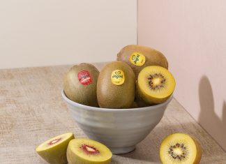 Jingold chiude la stagione dell’emisfero Nord con 30mila tonnellate Kiwi a polpa gialla e rossa Jingold