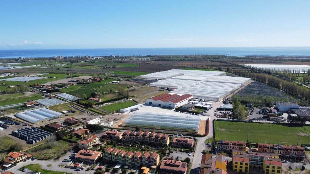 Le serre di Vivai Bacchetto, azienda di Chioggia