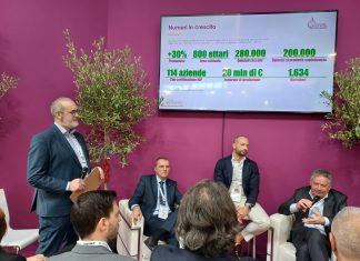 Cipolla Rossa di Tropea Calabria Igp a Macfrut, così può crescere ancora di più La tavola rotonda con i retailer