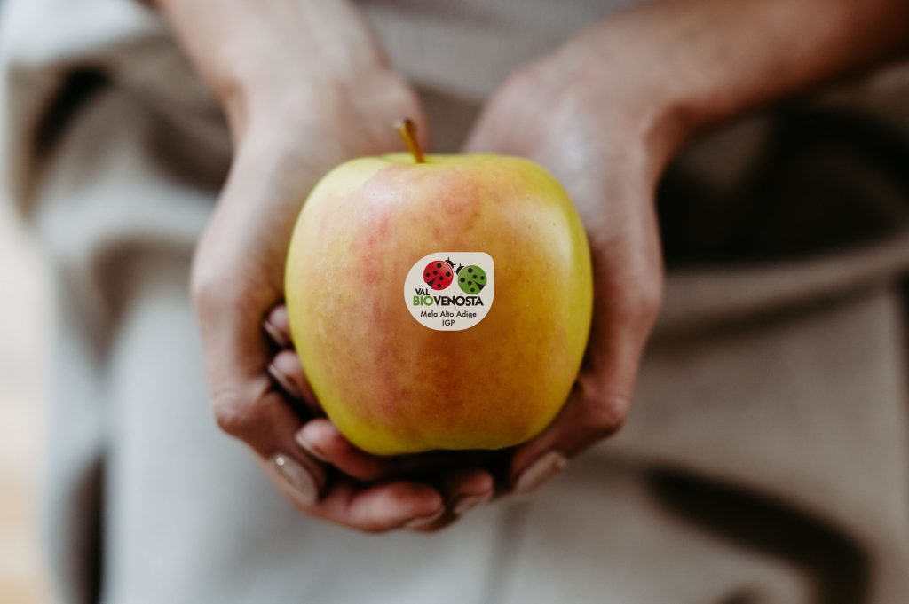 Mela Vip Val Venosta biologica