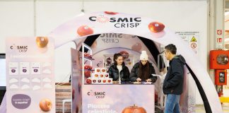 Lo stand di Cosmic Crisp in un mercato all'ingrosso