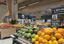 Andamento prezzi ortofrutta in Italia al 15 giugno 2026 In calo i prezzi di angurie e meloni