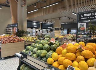 Andamento prezzi ortofrutta in Italia al 15 giugno 2026 In calo i prezzi di angurie e meloni