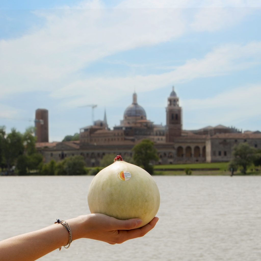 Il primo Simposio del Melone Mantovano Igp riunirà a Mantova l'intera filiera
