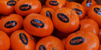 Il mandarino premium e seedless Tango Fruit distribuito da Spreafico