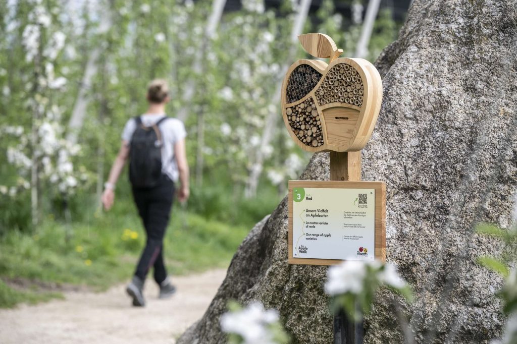 Una delle tappe del sentiero didattico della mela di Vip