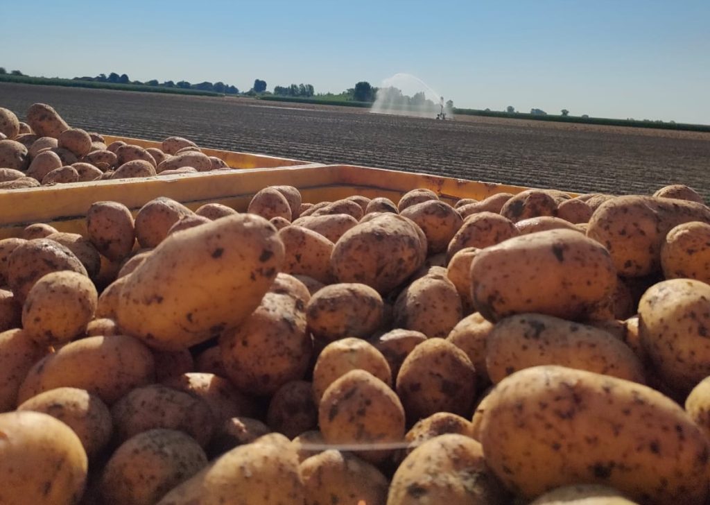 Il climate change fattore sempre più decisivo sui prezzi dell'ortofrutta