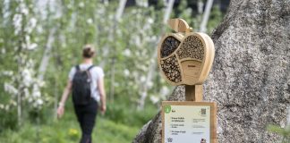 Una delle tappe del sentiero didattico della mela di Vip
