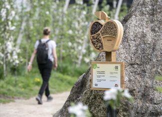 Vip lancia il sentiero didattico della mela Una delle tappe del sentiero didattico della mela di Vip