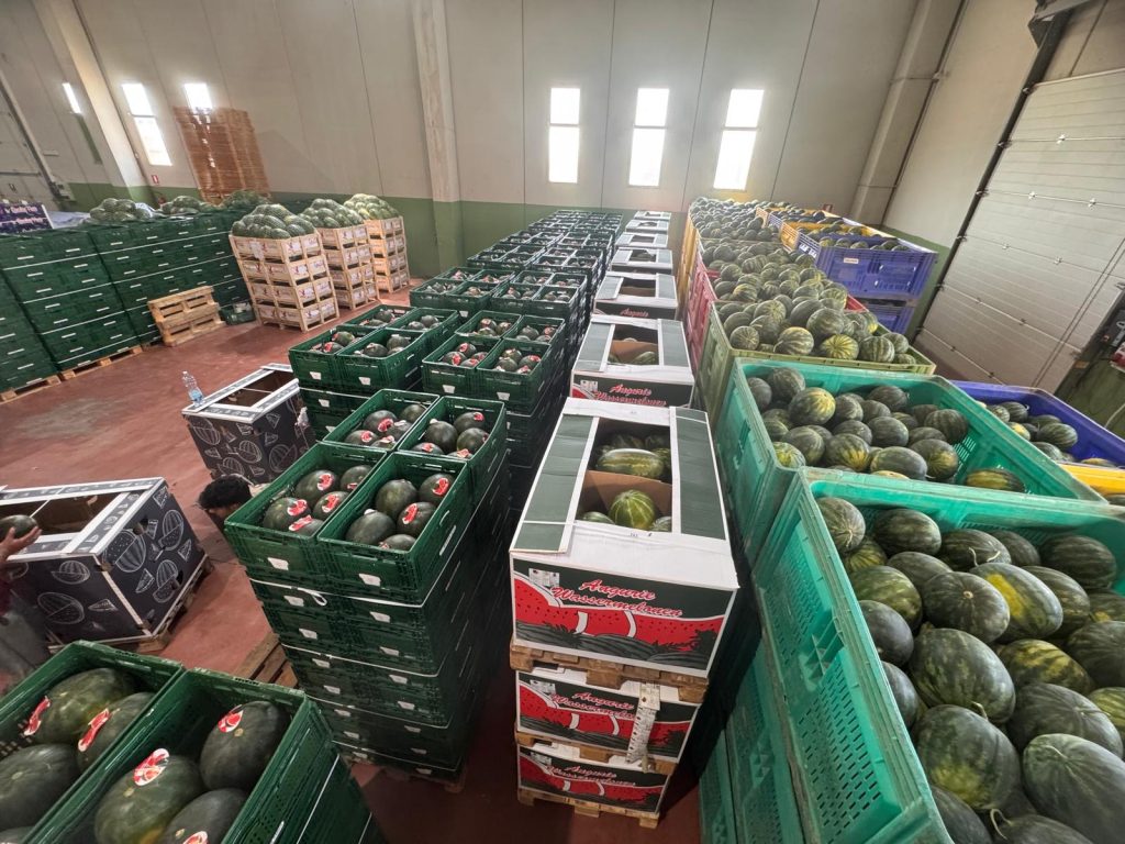 Angurie d'Aprile, l'azienda ha sede nel Tarantino, a Palagianello