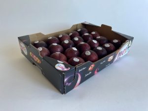 Susine Metis Oxy Solar