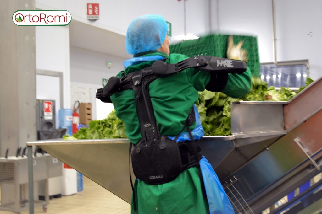 OrtoRomi esoscheletri