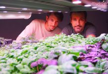Nicolò e Massimo Menini, co fiunder di My Eden