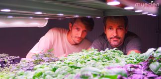 Nicolò e Massimo Menini, co fiunder di My Eden
