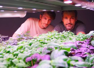 My Eden, la vertical farm sostenibile per i germogli #vocidellortofrutta Nicolò e Massimo Menini, co fiunder di My Eden