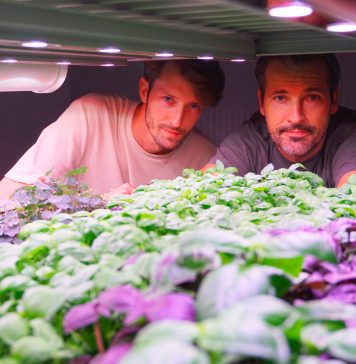Nicolò e Massimo Menini, co fiunder di My Eden