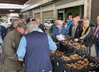 Volontari all'opera nei mercati ortofrutticoli dell'Emila-Romagna