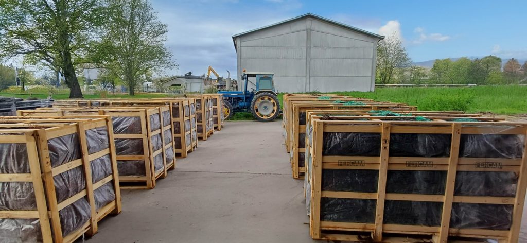 Casse per il trasporto delle piante di meli in India