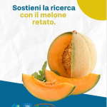 Meloni e angurie per sostenere la ricerca di Fondazione Airc