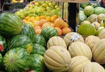 Andamento prezzi ortofrutta in Italia al 20 luglio 2026 In calo le quotazioni di angurie e meloni