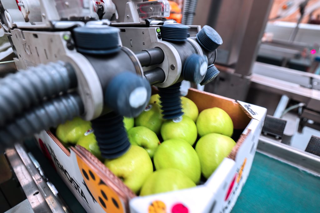 Sinclair è trai principali fornitori globali di soluzioni innovative di etichettatura per l'ortofrutta