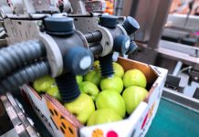 Sinclair è trai principali fornitori globali di soluzioni innovative di etichettatura per l'ortofrutta