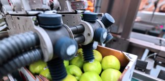 Sinclair è trai principali fornitori globali di soluzioni innovative di etichettatura per l'ortofrutta