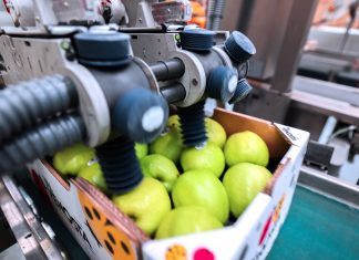 La rivoluzione del bollino compostabile per l’ortofrutta Sinclair è trai principali fornitori globali di soluzioni innovative di etichettatura per l'ortofrutta