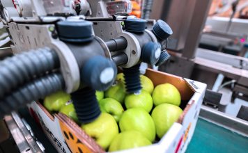 Sinclair è trai principali fornitori globali di soluzioni innovative di etichettatura per l'ortofrutta