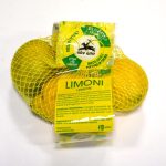 crescita di Brio