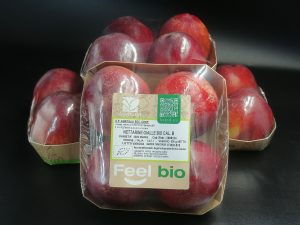 uva da tavola Agritalia