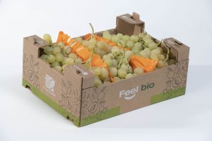 uva da tavola Agritalia