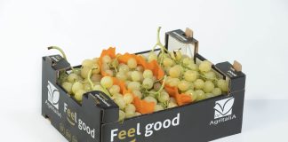 uva da tavola Agritalia