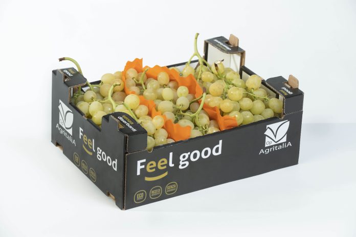 OP Agritalia Feel good UVA uva da tavola Agritalia