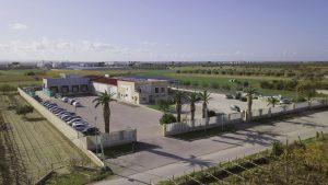 uva da tavola Agritalia