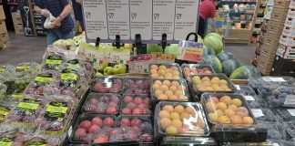 Ampia la disponibilità di varietà di susine