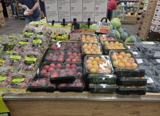 Ampia la disponibilità di varietà di susine